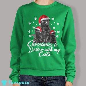 Black Cat In Sweater