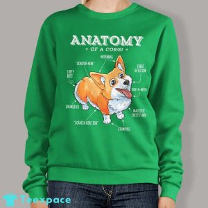 Corgi anatomy Sweatshirt 2