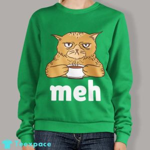 Funny Grumpy Meh Cat Sweatshirt 2