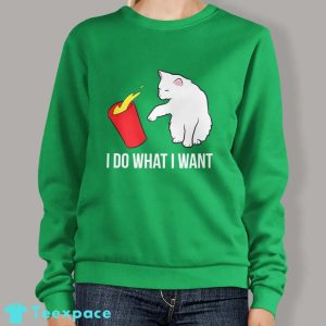 I Do What I Want Funny Cat Sweatshirt 2