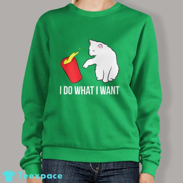 I Do What I Want Funny Cat Sweatshirt