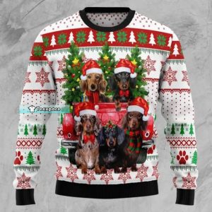 Dachshund Holiday Sweater Gift For Dachshund Owners