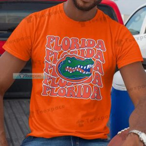 Florida Gators The Swamp Art Shirt